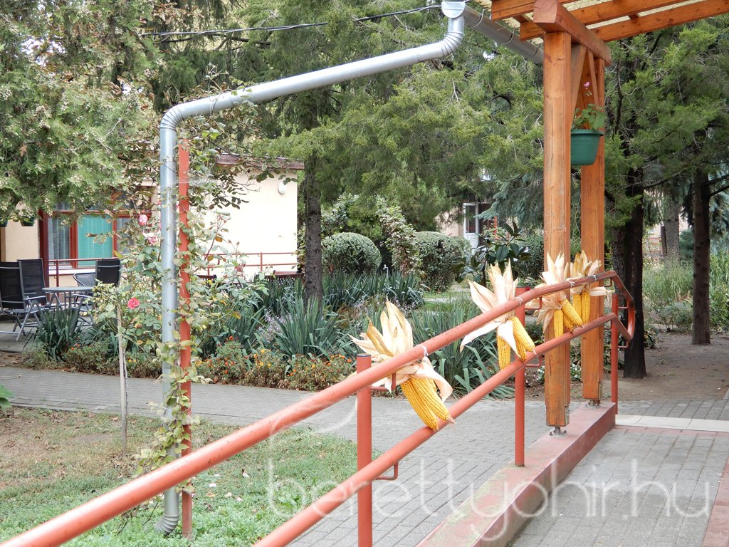 Szüreti mulatság 38